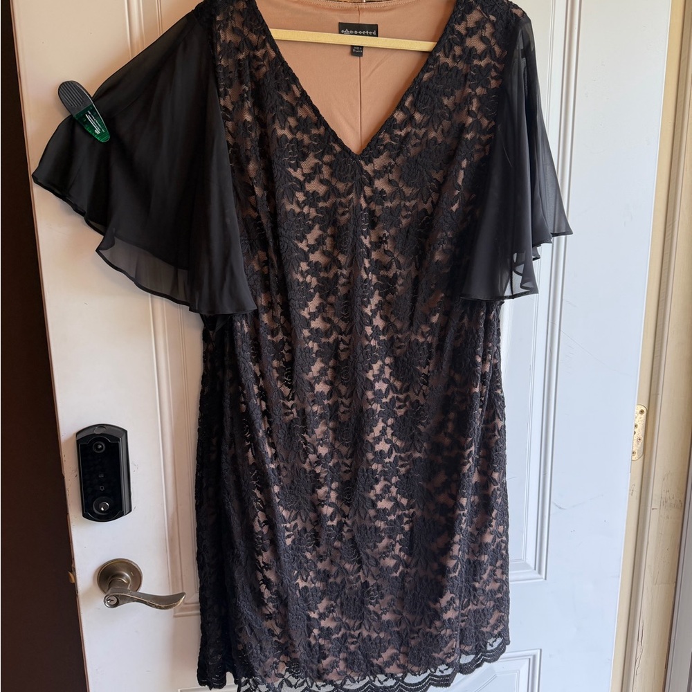 Black Lace Overlay Flutter Sleeve Dress